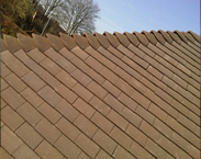 ElC roofing